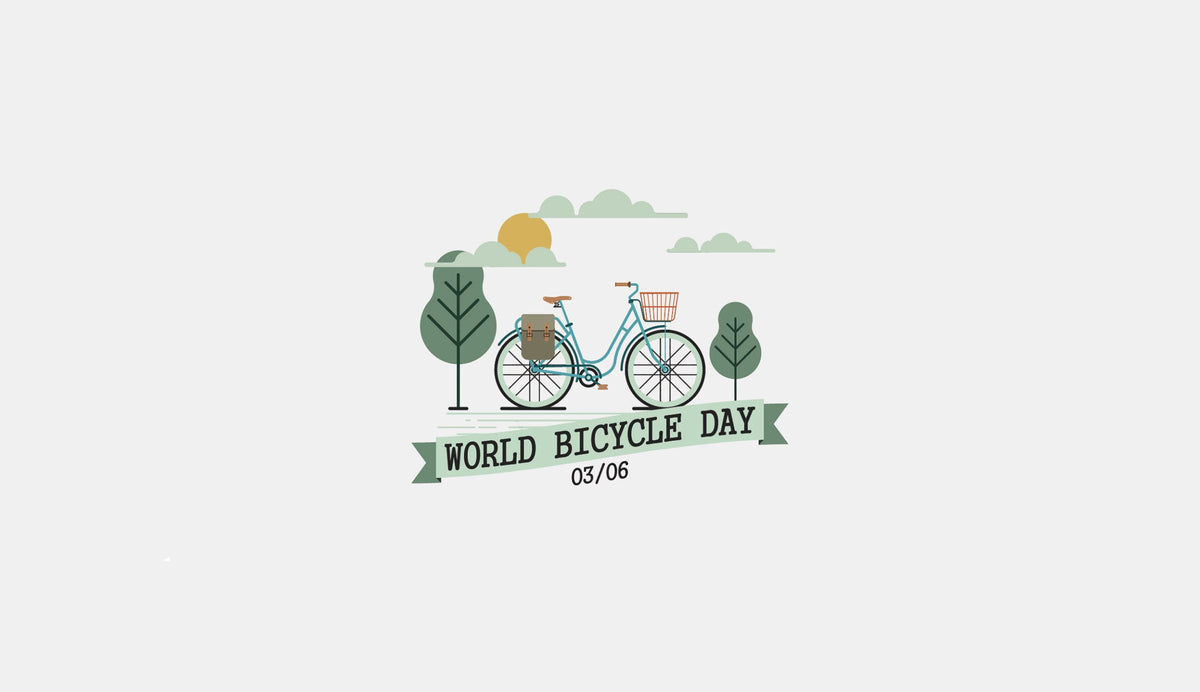 World bicycle day