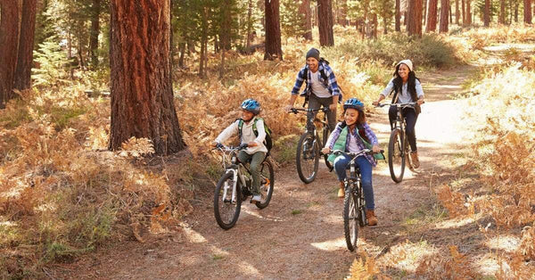 The Most Amazing Family Bike Ride: How to make it happen
