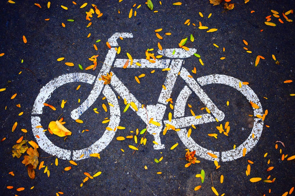 The Humorous Side of Cycling: Anecdotes from the Bike Lane