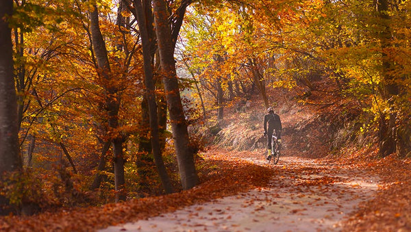 Tips for cycling in autumn